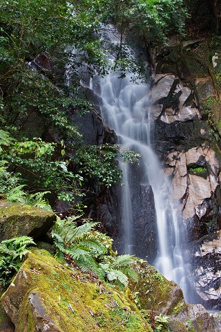 e0176993_8183674.jpg