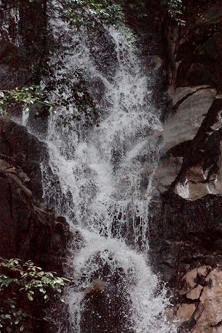 e0176993_8185098.jpg