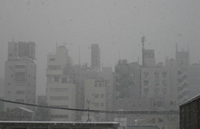 初雪_f0061394_11172494.jpg