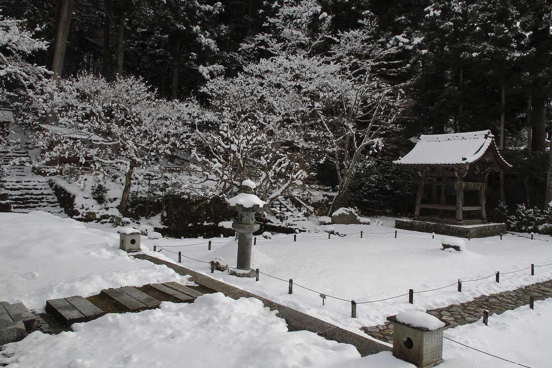 勝林院・2013_f0095094_2215346.jpg