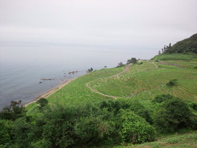 b0138798_23301811.jpg