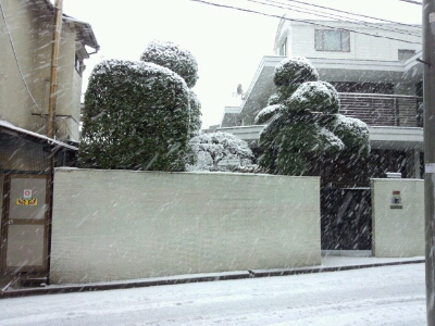 初雪！！_d0269898_1233576.jpg