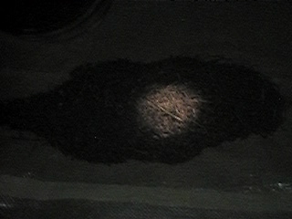 f0151099_1365692.jpg