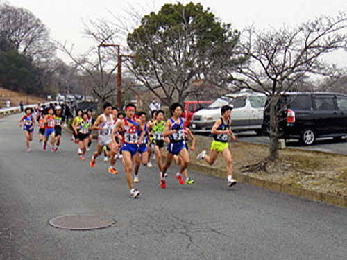 b0108100_2142482.gif
