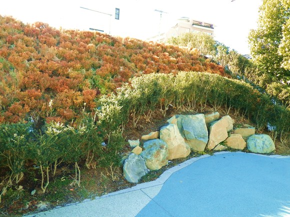 a0167801_8522540.jpg