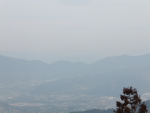 大知波峠廃寺跡～富士見岩～坊ヶ峰　　豊橋自然歩道を歩く_a0271502_7571753.jpg