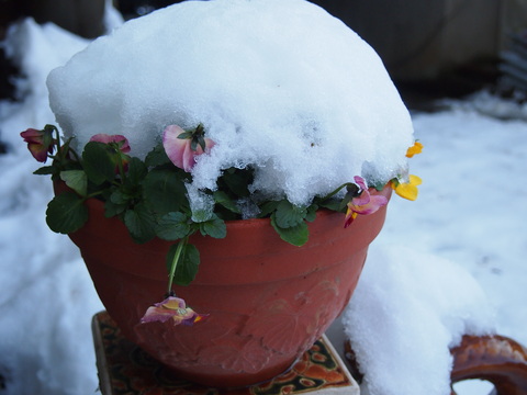 c0125702_21554444.jpg