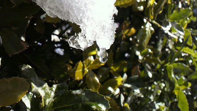 c0092803_1633561.jpg