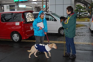 成犬譲渡会やりました！_d0050503_5303225.jpg