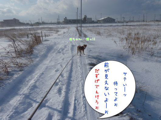 b0283404_19184990.png