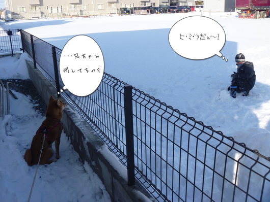 b0283404_192324100.png