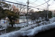 e0123104_1032829.jpg