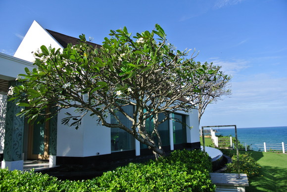 f0221204_20123749.jpg