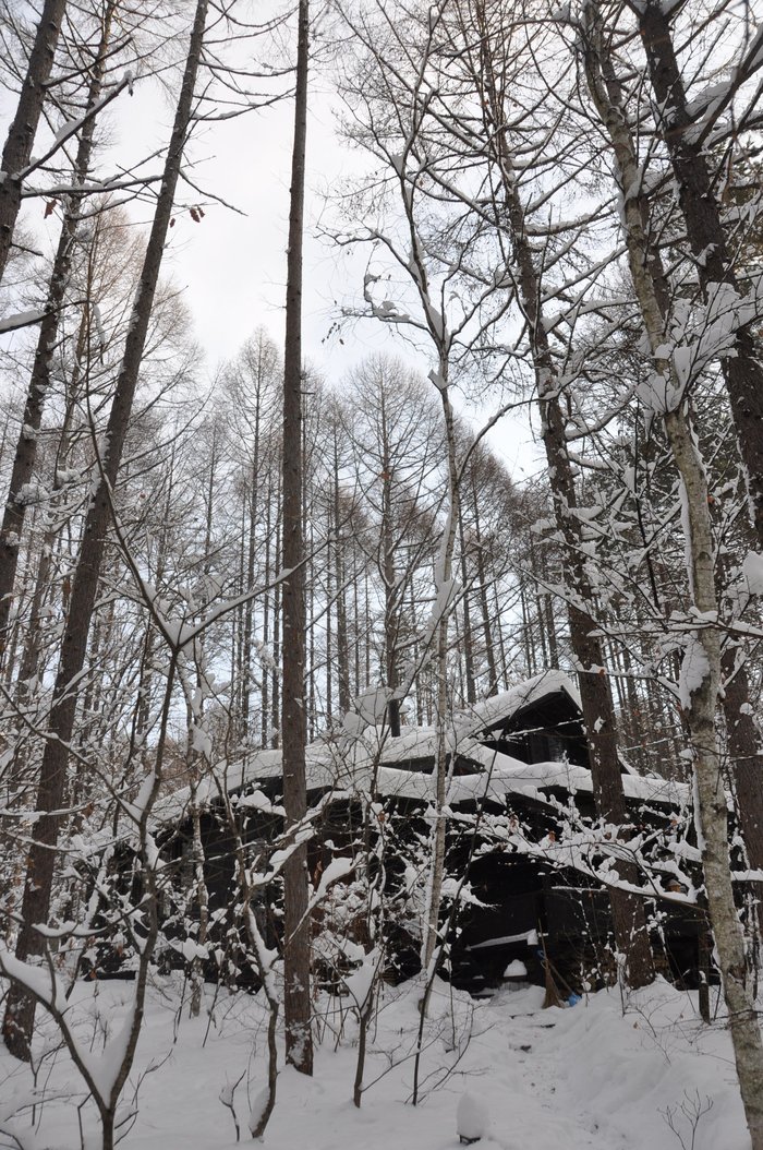 まさかの大雪_d0082305_97969.jpg