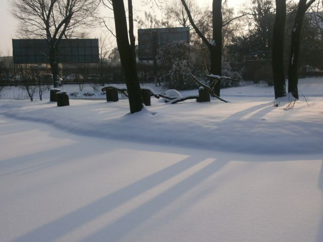 e0039206_22171647.jpg