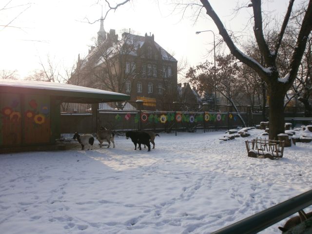 e0039206_2218255.jpg