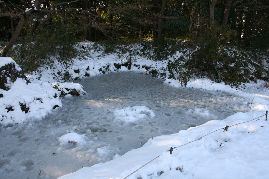 すみれば雪景色_b0049307_11311895.jpg