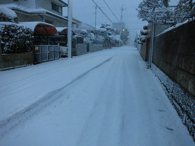 初雪が大雪_e0121110_1181339.jpg