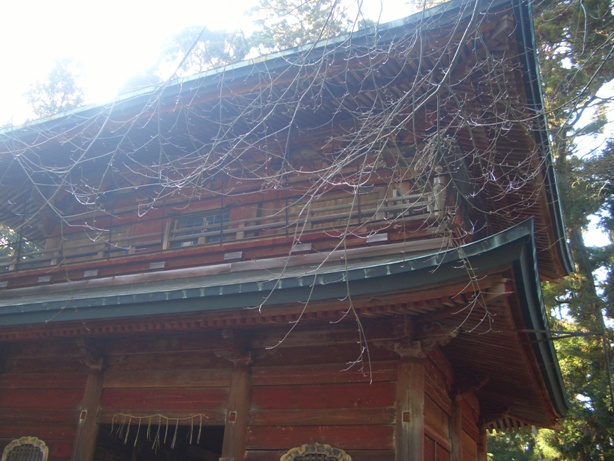 e0033713_1034692.jpg