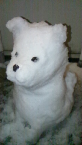 雪犬_c0200314_8512289.jpg