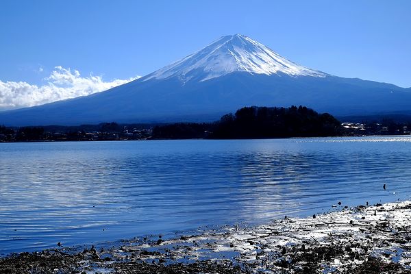 b0204819_221284.jpg