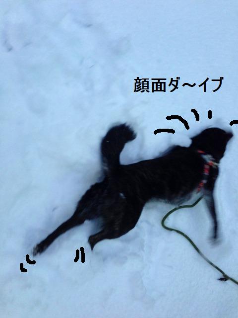雪、融けませんね～_a0147921_15152818.jpg