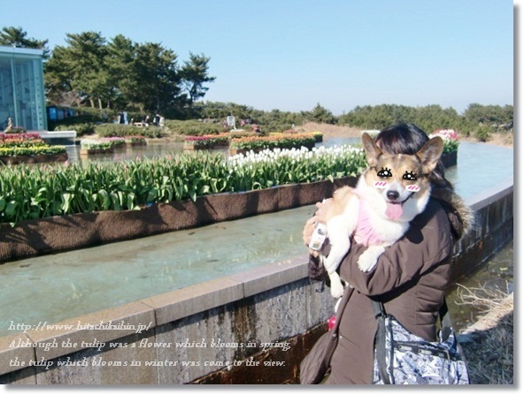 冬の 国営ひたち海浜公園 へ アリスに首ったけ 冬の 国営ひたち海浜公園 へ アリスに首ったけ