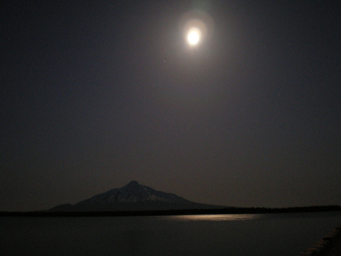 礼文島　、利尻富士、　が気になって_d0136122_16202127.jpg