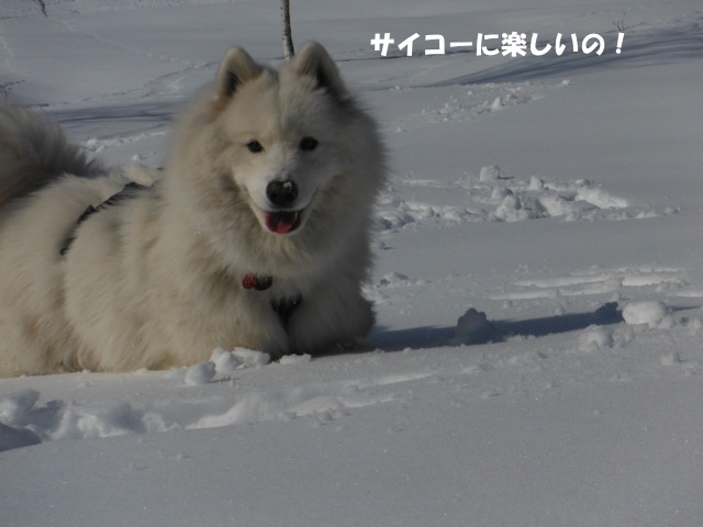 大幽洞窟でニョロニョロに出会った〜♪_お遊び編_f0234023_2252747.jpg