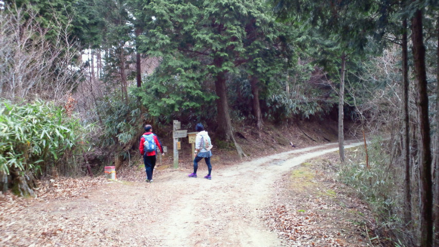 もう一つの高野山　女人道～高野三山～京・大坂口_a0036424_10305171.jpg