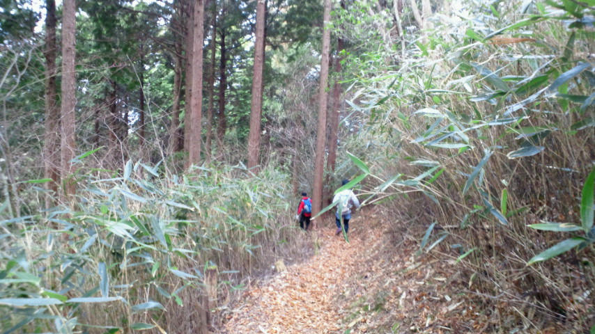 もう一つの高野山　女人道～高野三山～京・大坂口_a0036424_10452830.jpg