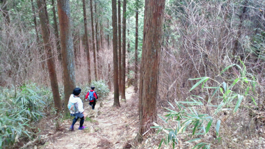 もう一つの高野山　女人道～高野三山～京・大坂口_a0036424_1046398.jpg