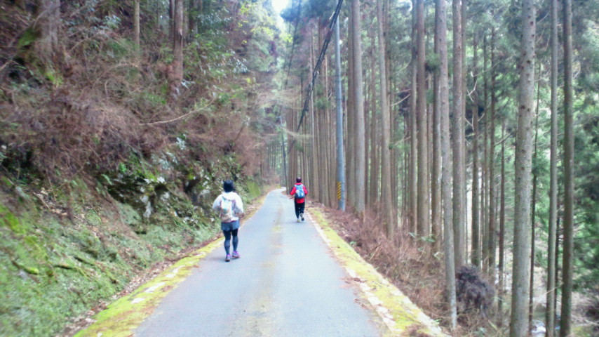 もう一つの高野山　女人道～高野三山～京・大坂口_a0036424_12332585.jpg