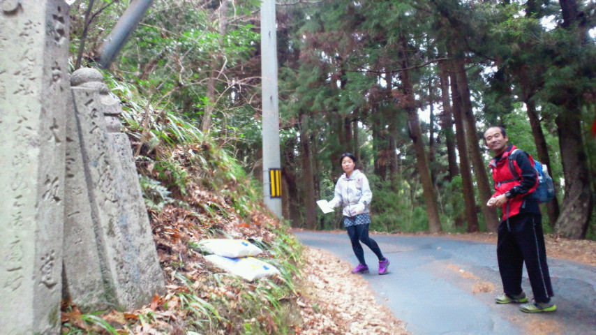 もう一つの高野山　女人道～高野三山～京・大坂口_a0036424_12374225.jpg