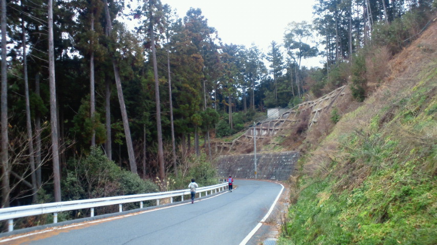 もう一つの高野山　女人道～高野三山～京・大坂口_a0036424_12394515.jpg