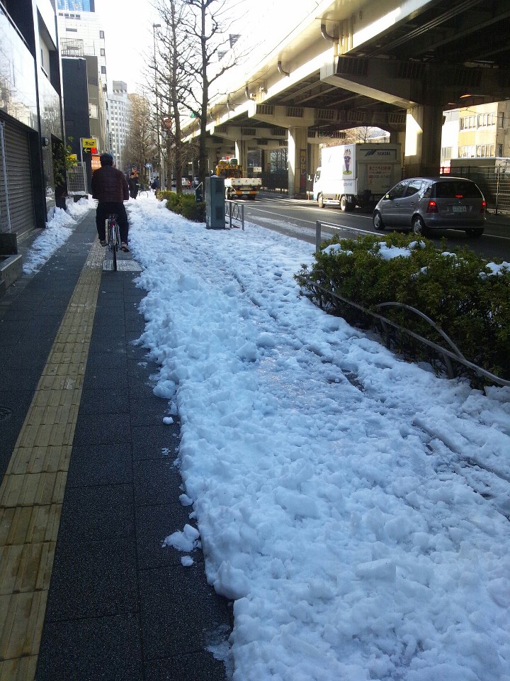 除雪に感動_a0117324_2020208.jpg