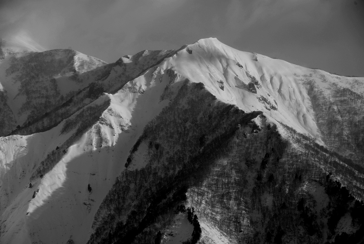 b0062024_21564563.jpg
