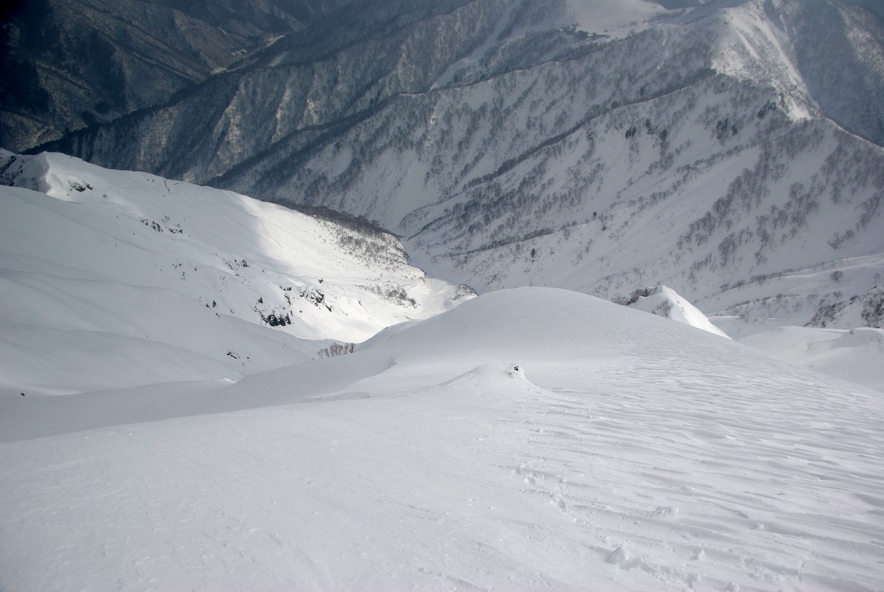 b0062024_22254551.jpg