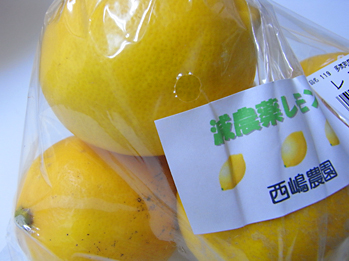 冷たい雨_d0184326_1549374.jpg