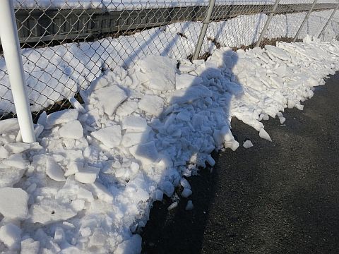 雪だるまに背中押されてお稽古日_e0108126_1581284.jpg