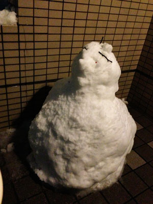 雪見で「いっぱい」。_a0026127_14261344.jpg