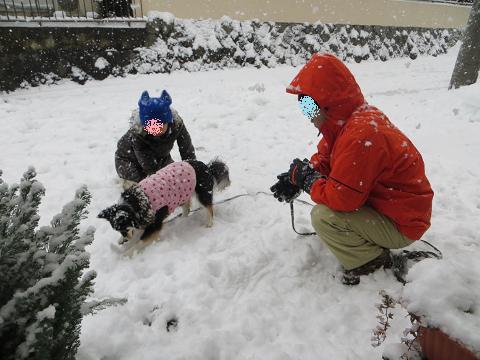 雪だ♪　雪だ♪　雪だ♪_a0155430_1425868.jpg