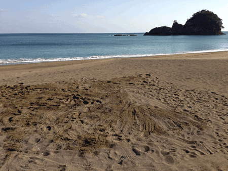 e0203037_23442178.gif