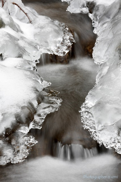 e0083238_21414055.jpg