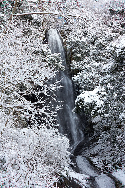 c0067040_23233934.jpg
