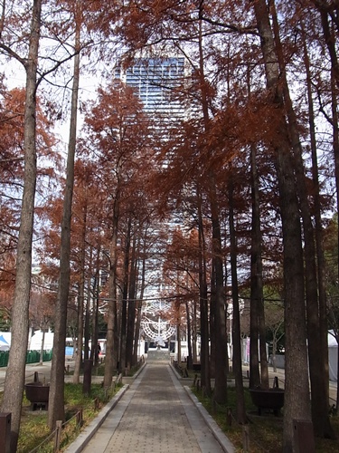 b0120541_184143.jpg