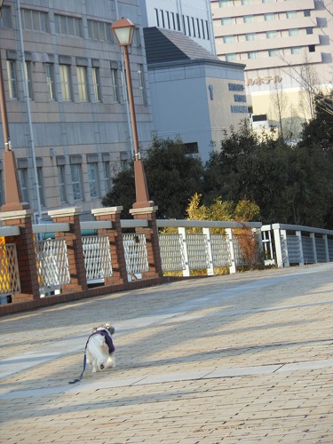 c0261346_21435616.jpg