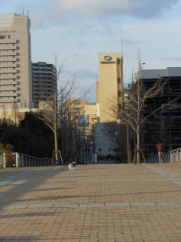 c0261346_2144956.jpg