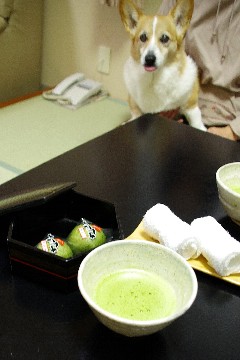 f0045846_19394992.jpg