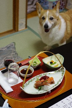f0045846_19445117.jpg
